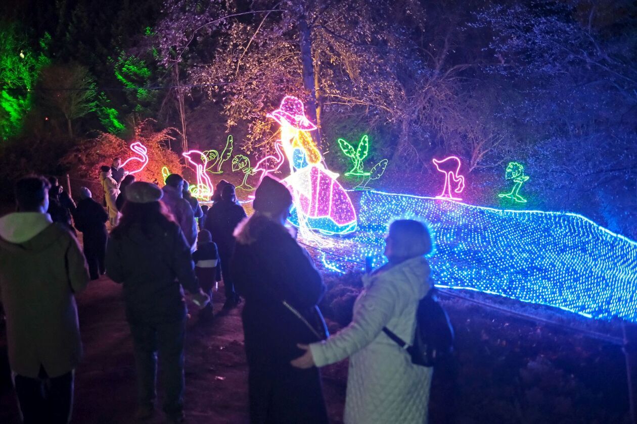  Alicja i biały królik biegają po Lumina Park (zdjęcie 17) - Autor: DW