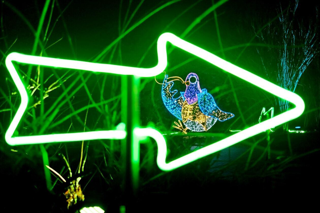  Alicja i biały królik biegają po Lumina Park (zdjęcie 26) - Autor: DW