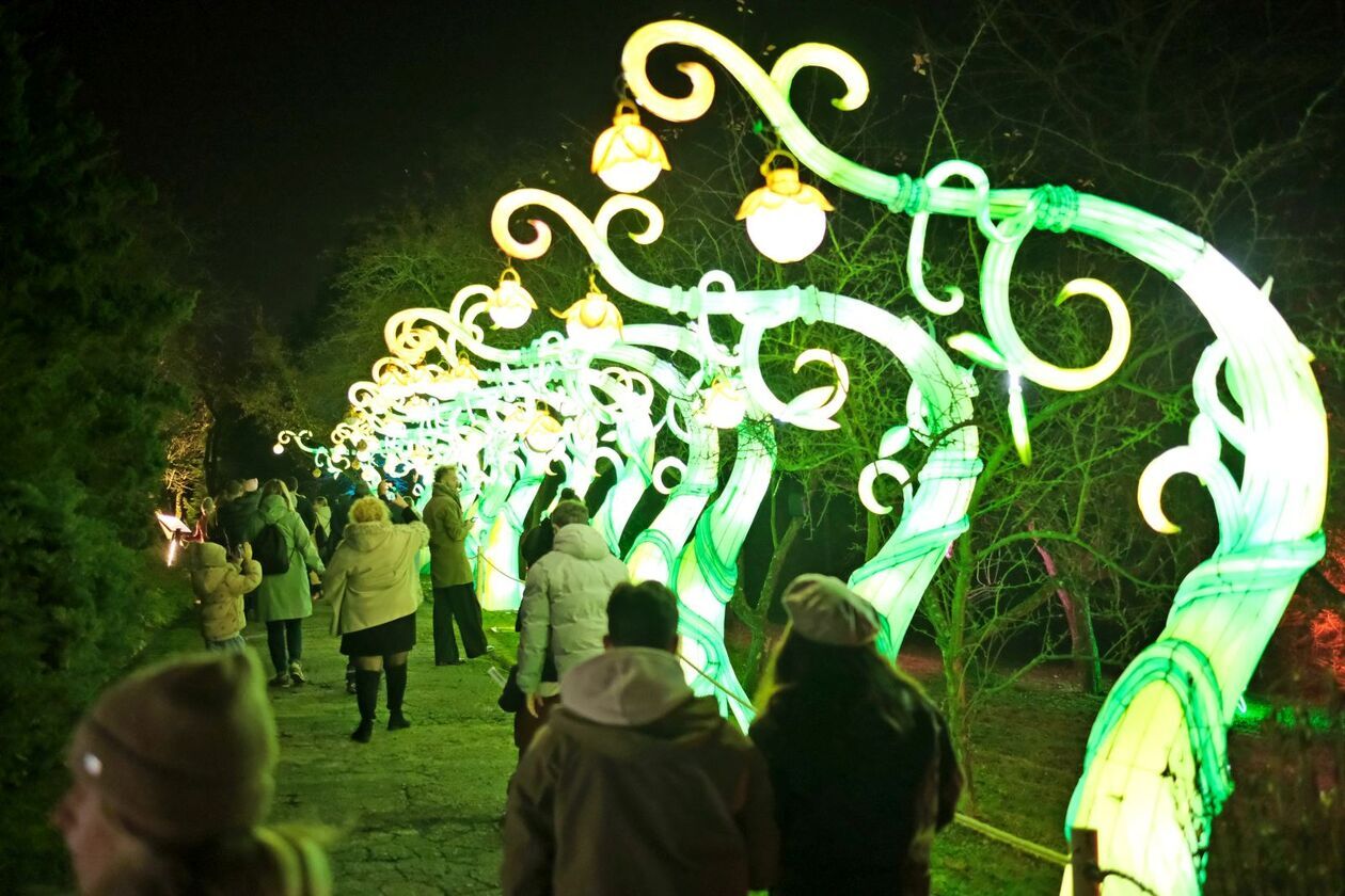  Alicja i biały królik biegają po Lumina Park (zdjęcie 20) - Autor: DW