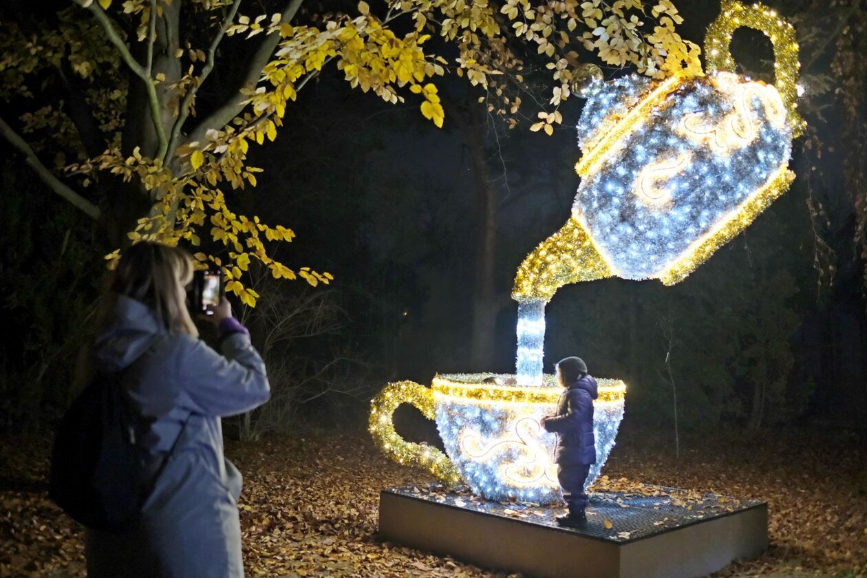  Alicja i biały królik biegają po Lumina Park (zdjęcie 22) - Autor: DW