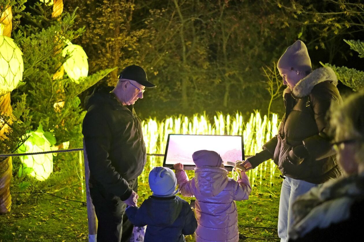  Alicja i biały królik biegają po Lumina Park (zdjęcie 29) - Autor: DW