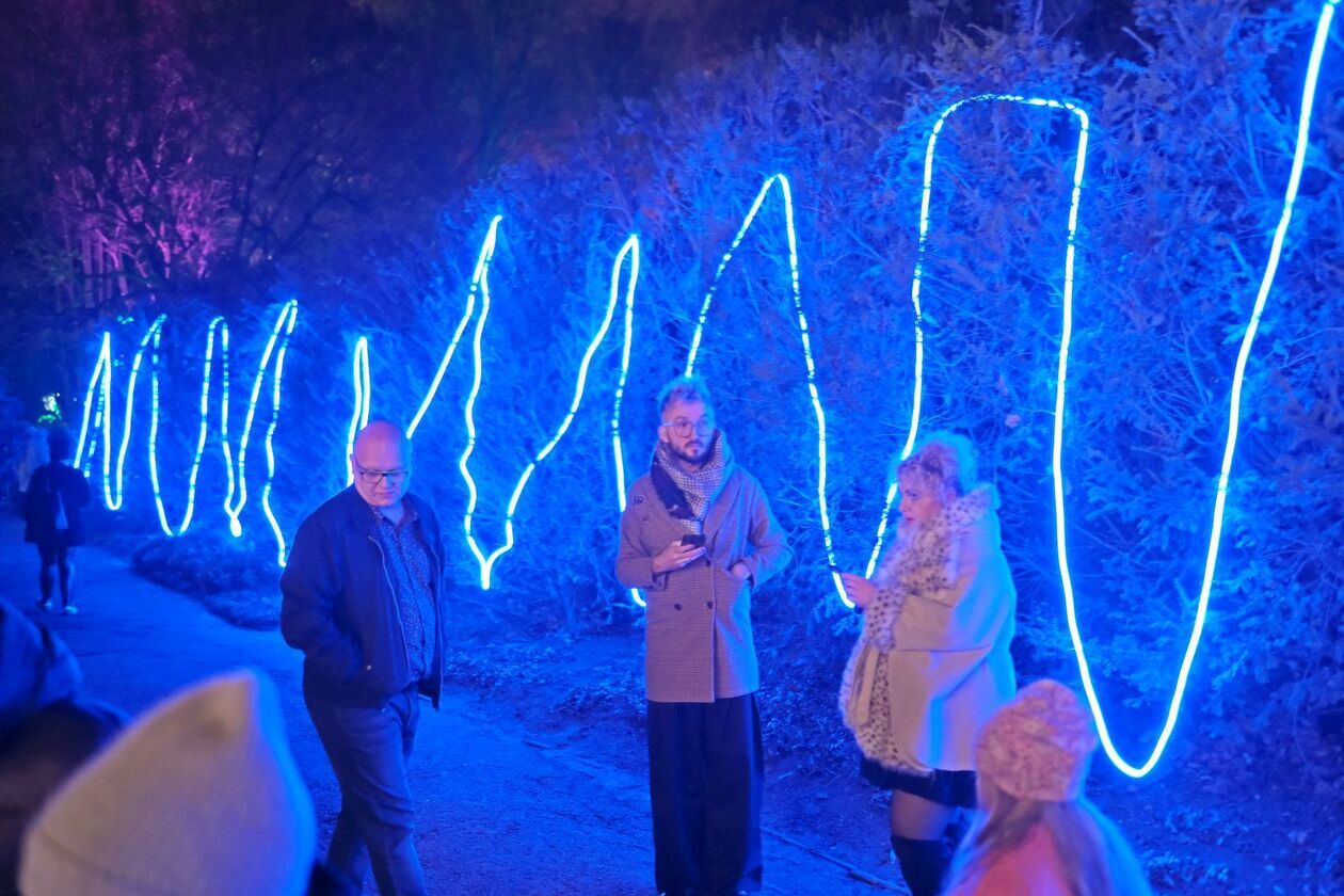  Alicja i biały królik biegają po Lumina Park (zdjęcie 14) - Autor: DW