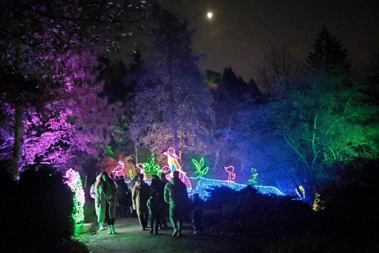  Alicja i biały królik biegają po Lumina Park (zdjęcie 16) - Autor: DW