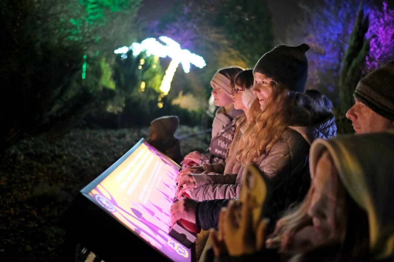  Alicja i biały królik biegają po Lumina Park (zdjęcie 21) - Autor: DW