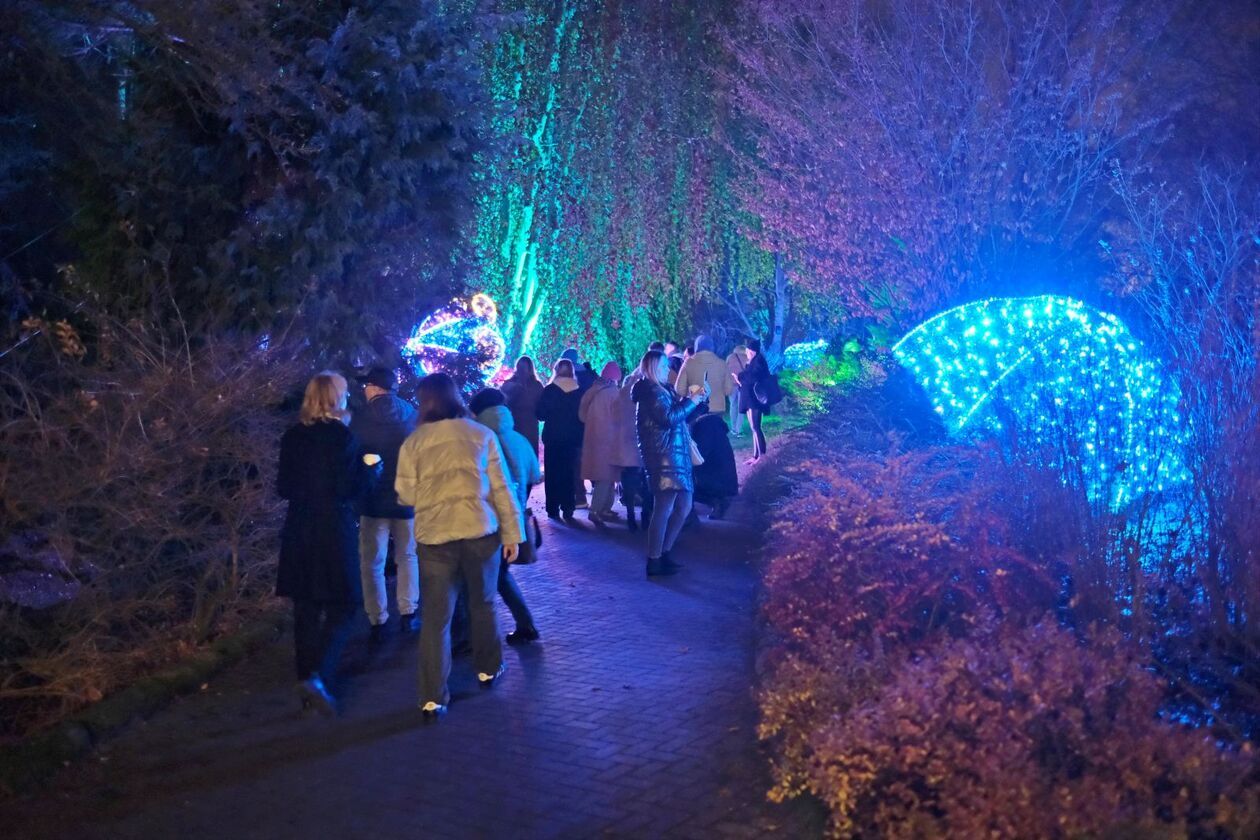  Alicja i biały królik biegają po Lumina Park (zdjęcie 9) - Autor: DW