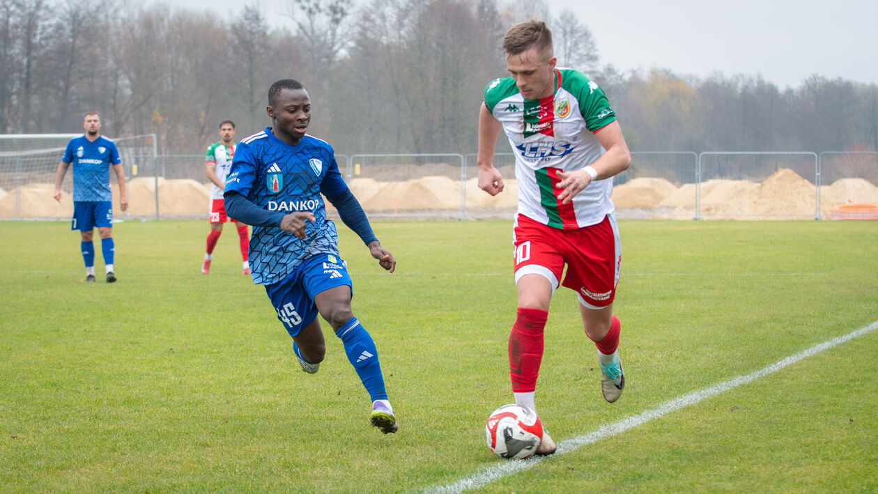 Janowianka - Hetman Zamość - Autor: KAMIL GAC