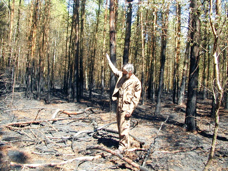 Leśniczy Lesław Kluz sprawdza, czy w pożarzysku nie tli się zarzewie ognia