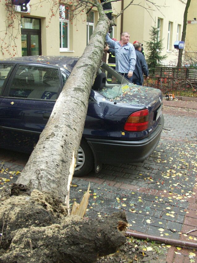 Powalone przez wiatr drzewo przygniotło samochód przy ul. Radziwiłłowskiej w Lublinie (M. Kaczanowsk