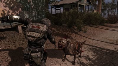 S.T.A.L.K.E.R.: Zew Prypeci