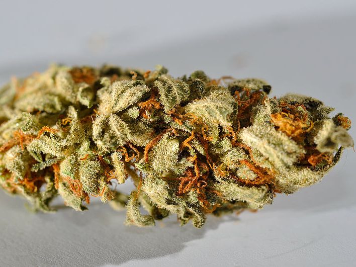Policjanci znaleźli u 14-latka 10 gram marihuany