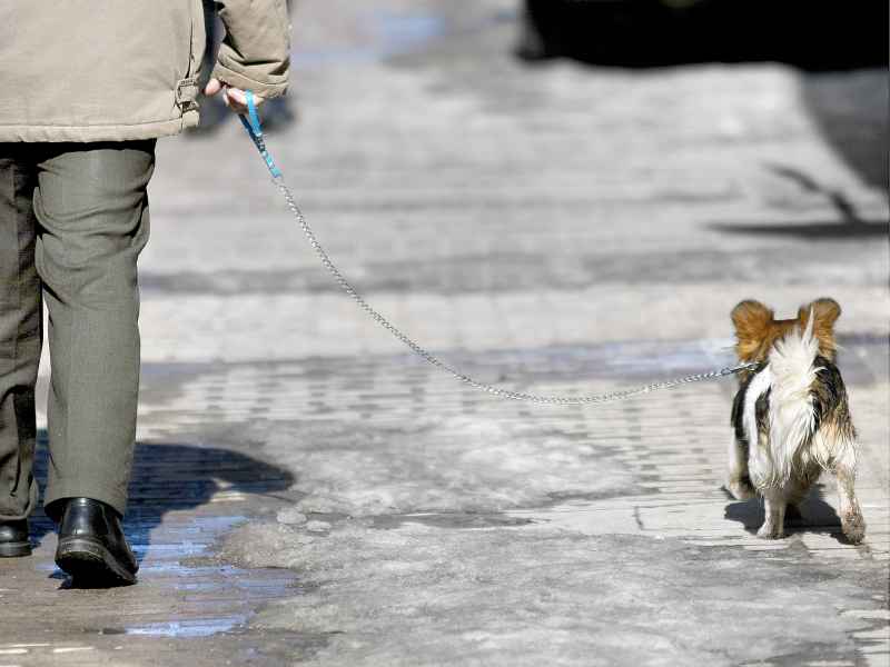 Strażnicy Miejscy będą sprawdzać, czy właściciele psów wychodzą na spacery "uzbrojeni” w specjalne 