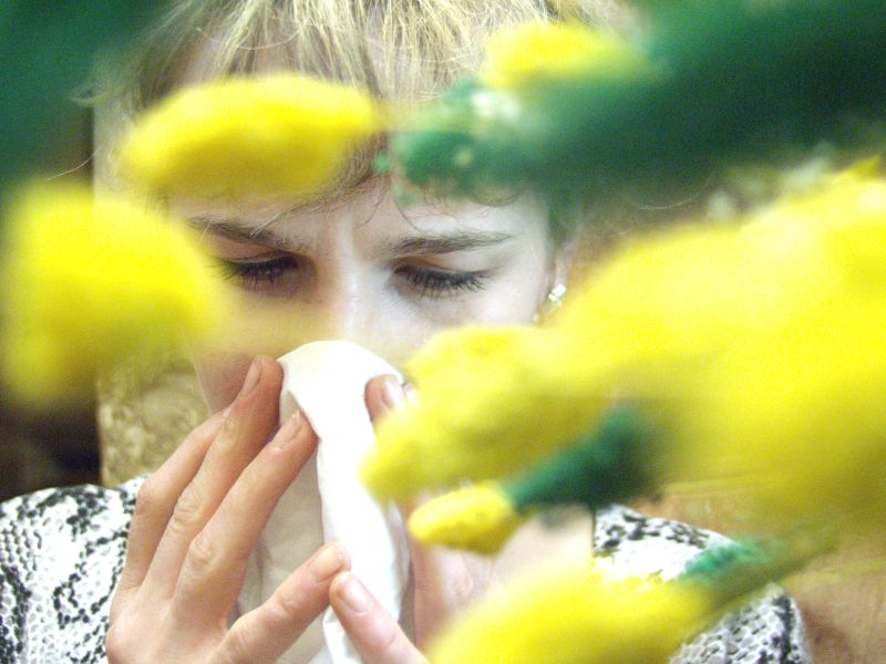 Napad kichania, wysięk z nosa, łzawienie i swędzenie spojówek to najczęstsze objawy alergii sezonowe