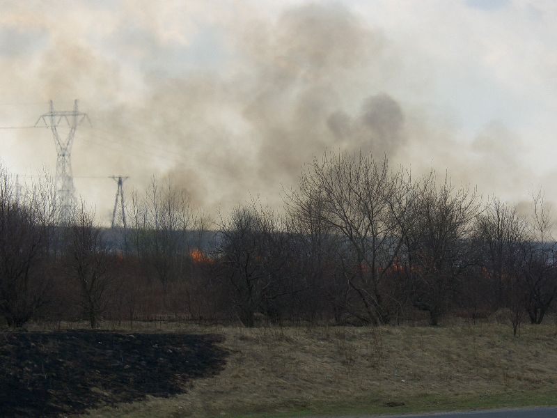 Sobotni pożar traw przy torze kartingowym w Lublinie (Internauta Tomasz / Alarm 24)