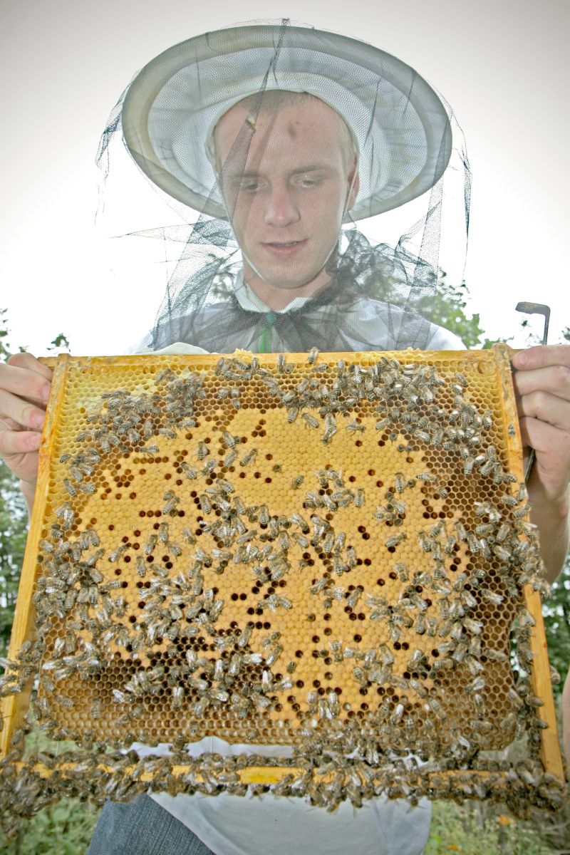 – Rzeczywiście, pszczół jest mniej – potwierdza Grzegorz Jasina. W jego rodzinie od kilku pokoleń ho