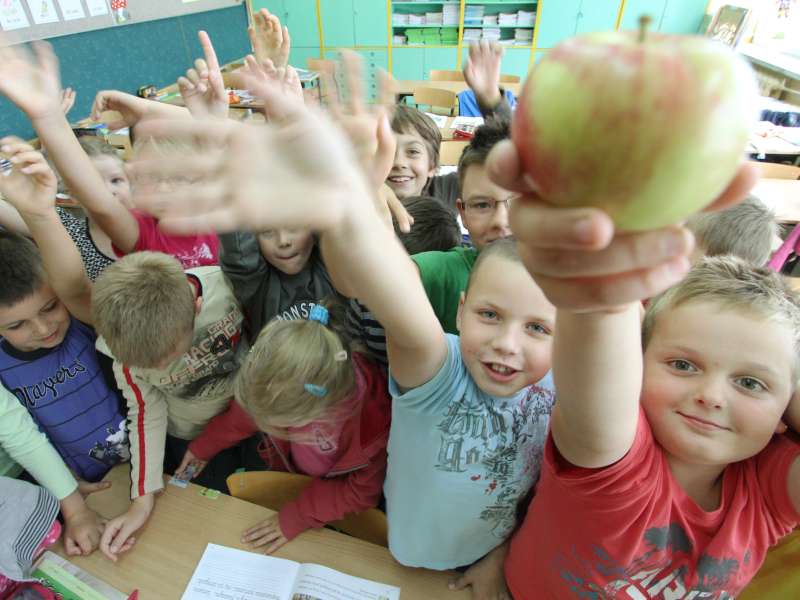 Uczniowie z Zespołu Szkół nr 2 w Świdniku zachęcają do jedzenia owoców (Maciej Kaczanowski)