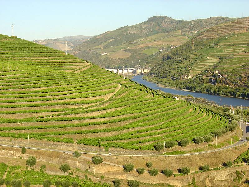 Douro w Portugalii słynie z produkcji wina (Husond /CCBY3.0)