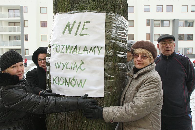 - Będziemy bronili drzew tak długo, jak będzie trzeba - mówili zgromadzeni.  (Maciej Kaczanowski)