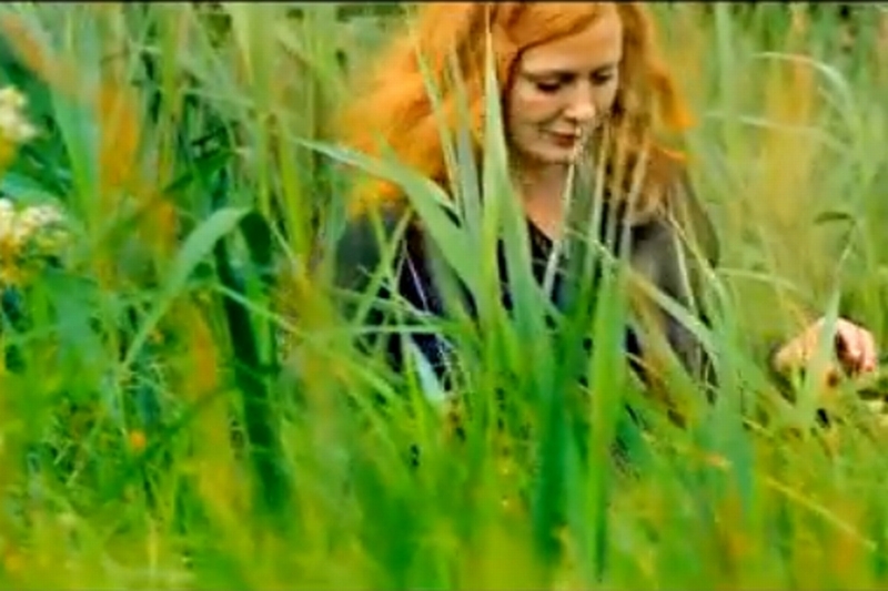 Kadr z teledysku "O lesie" (YouTube)