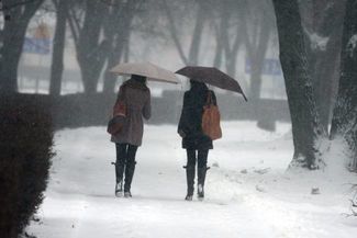  (Jacek Świerczyński)