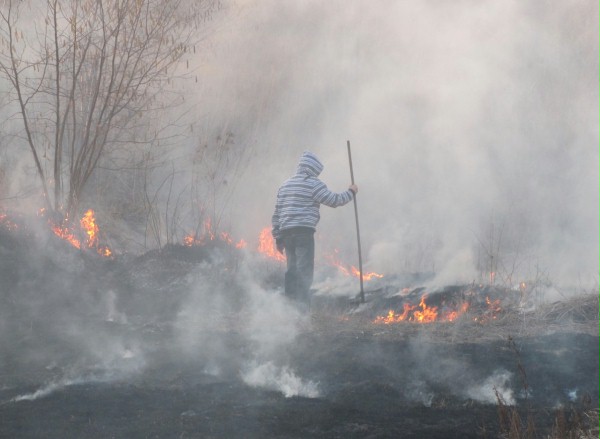 Wczorajszy pożar traw przy ścieżce rowerowej na ul Janowskiej w Lublinie. (Fotonews/ MM Lublin)