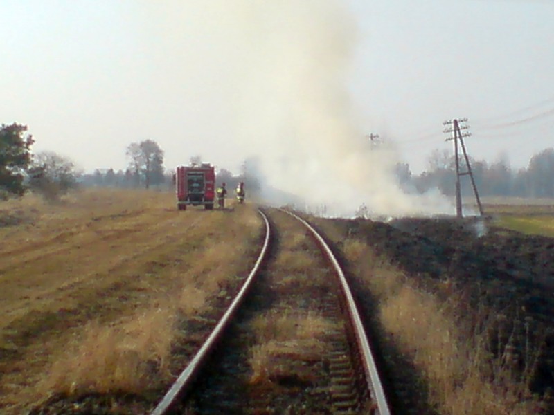 Pożar w miejscowości Planta koło Wohynia (Alarm24)