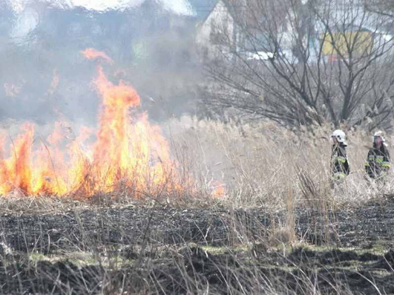 Pożary spowodowane wypalaniem traw często przenoszą się na pobliskie lasy i zabudowania. Utrudniają 
