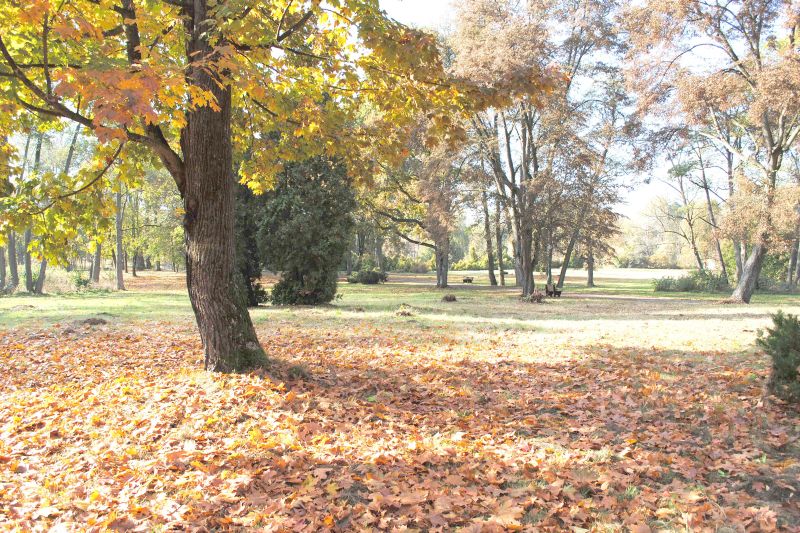 Park był ładny, będzie jeszcze ładniejszy (UM)