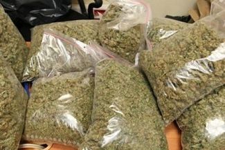 Wartość zabezpieczonych narkotyków szacowana jest na ponad 170 tys. zł. (Policja)