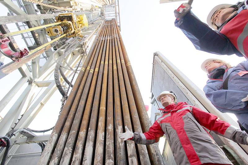 Na Lubelszczyźnie gazu łupkowego szukają Exxon, Chevron, Marathon Oil i PKN Orlen. Na zdjęciu: odwie