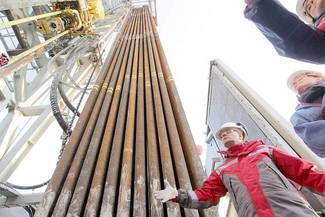 Na Lubelszczyźnie gazu łupkowego szukają Exxon, Chevron, Marathon Oil i PKN Orlen. Na zdjęciu: odwie