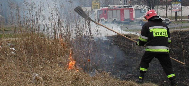 Strażacy gaszą płonące trawy (Archiwum)