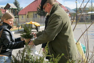 Zainteresowanie sadzonkami przeszło oczekiwania organizatorów
 (Fot. Specjalny Ośrodek Szkolno-Wych