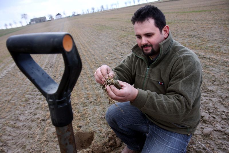 Jakub Adamiak, właściciel ok. 50-hektarowego gospodarstwa w Piaskach: Po zimie pszenica wyglądała le