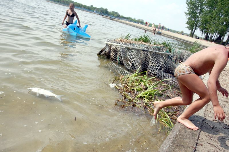 Mimo śniętych ryb, nie brakuje amatorów kąpieli w zalewie. (Jacek Świerczyński)