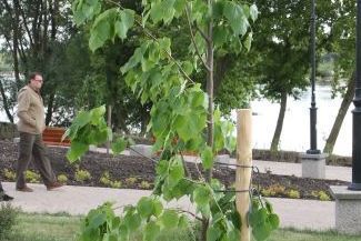  (Maciej Kaczanowski)