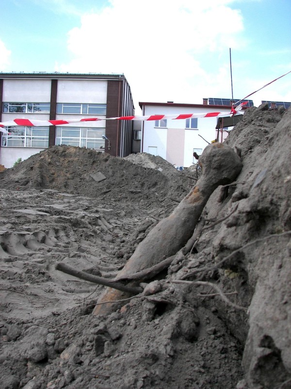 Niewypał znaleziono na budowie boisk szkolnych w Wisznicach (Robert Baranowski)