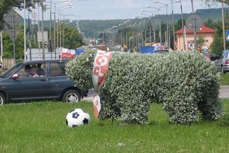 Na widok tego misia trudno się nie uśmiechnąć (Fot. Jacek Barczyński)