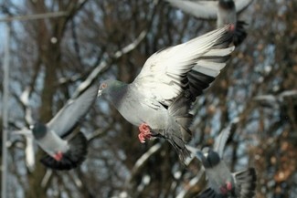  (Maciej Kaczanowski / Archiwum)