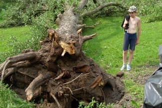  (Internauta wasilki)