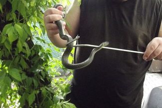  (Czytelniczka Malwina)