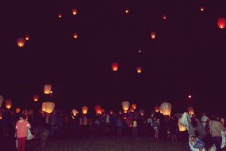  (Dagmara Łukasiewicz)