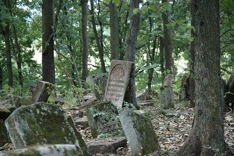 Cmentarz żydowski w Szczebrzeszynie (Merlin / Wikipedia)