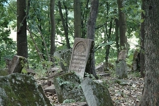 Cmentarz żydowski w Szczebrzeszynie (Merlin / Wikipedia)