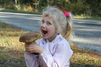 - Przesyłam zdjęcia z weekendowo-rodzinnego wypadu na grzyby. W lasach pod Bychawą pełno opieniek i 