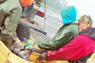 Lokalna Grupa Rybacka (Mariusz Puła/www.lgr-lubelskie.pl)