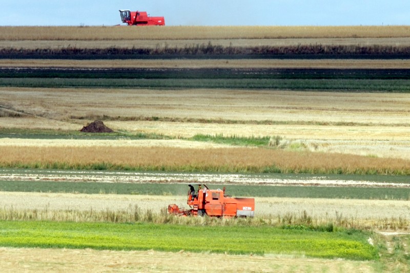 Średnia cena gruntów rolnych, sprzedawanych przez Agencję Rynku Rolnego w trzecim kwartale 2012 r. t