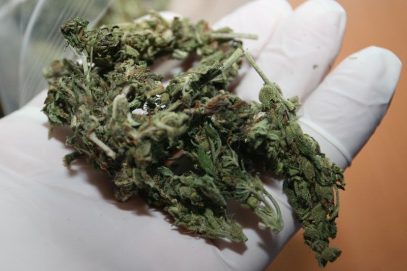130 gram marihuany miał w bagażniku auta 24-letni mieszkaniec Łęcznej (Archiwum KWP)