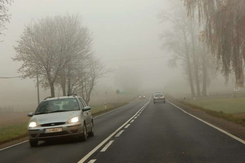 Mgła na drodze Lublin - Łęczna (Maciej Kaczanowski)
