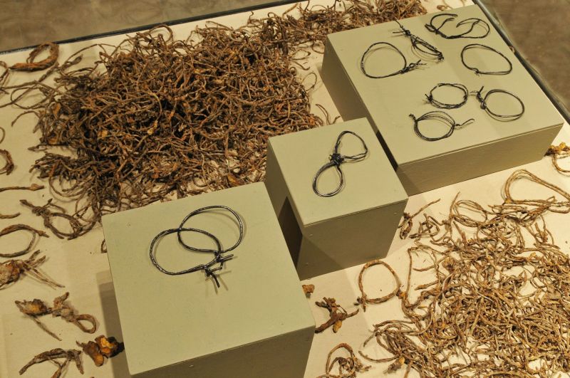 Druty do wiązania rąk wydobyte w 2011 r. podczas wykopaliskowych badań archeologicznych w Lesie Bore