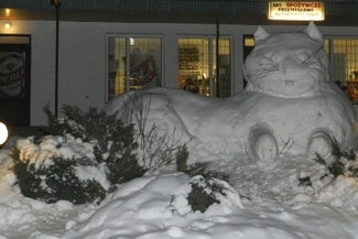 Bałwan autostopowicz i inne zabawne zimowe zdjęcia